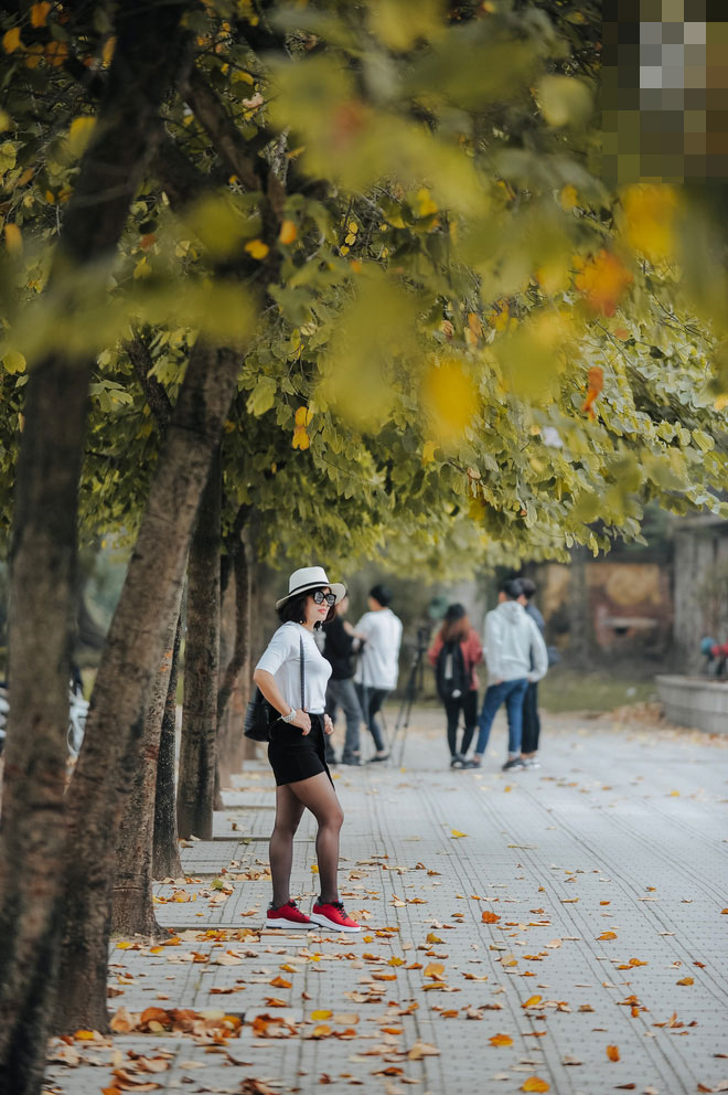17 ngày nữa là hết năm, người Hà Nội ngỡ ngàng bắt gặp hoa ban trái mùa khoe sắc trong giá rét 17 ngày nữa là hết năm, người Hà Nội ngỡ ngàng bắt gặp hoa ban trái mùa khoe sắc trong giá rét